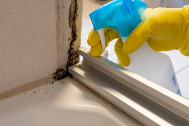 Mold Documentation for Insurance Claims in Gotha, FL